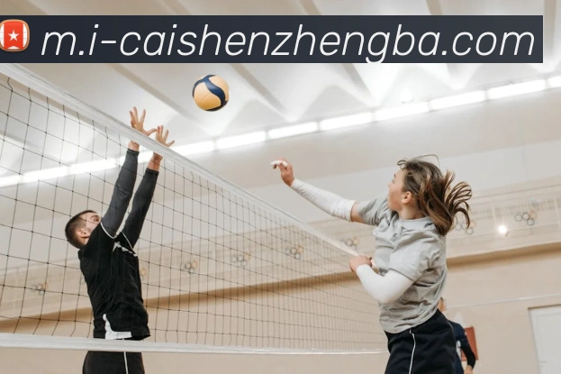 多媒体互动体验